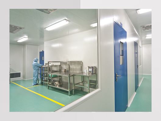 上海浦東新區臨港新片區電子新能源無(wú)塵凈化車(chē)間裝修工程